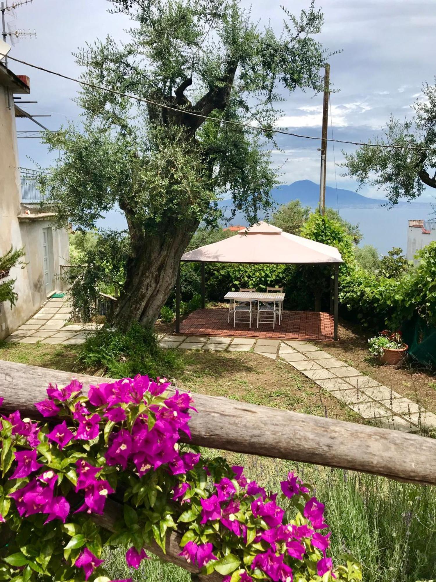 Sorrento Garden Hotell Eksteriør bilde
