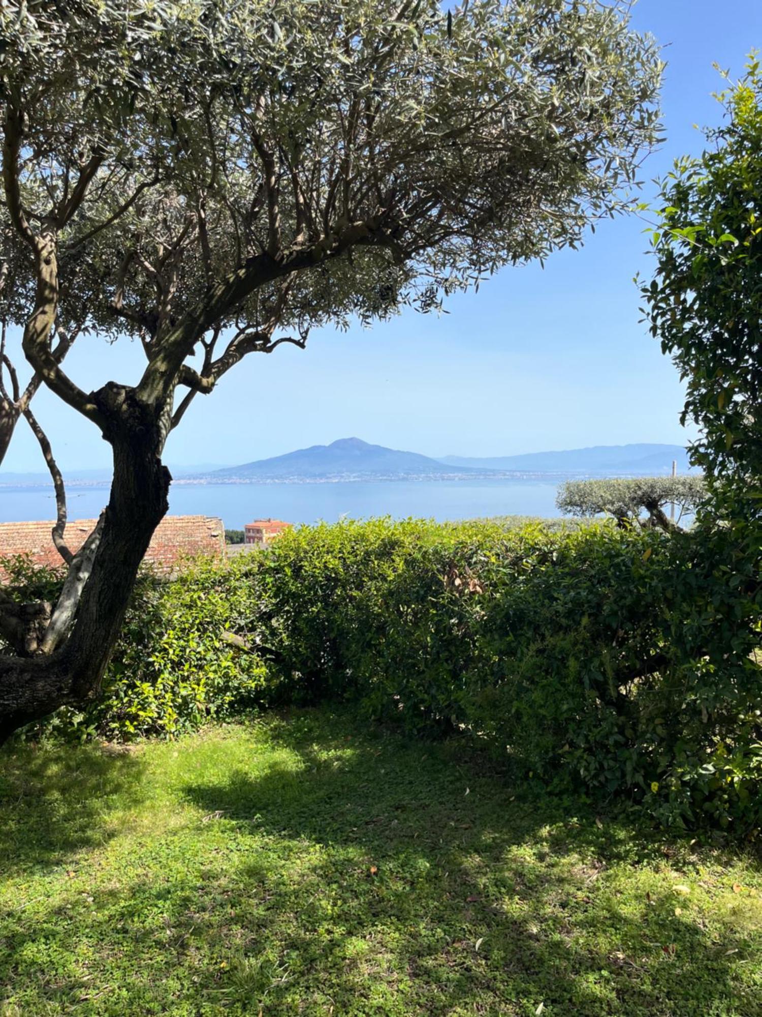 Sorrento Garden Hotell Eksteriør bilde