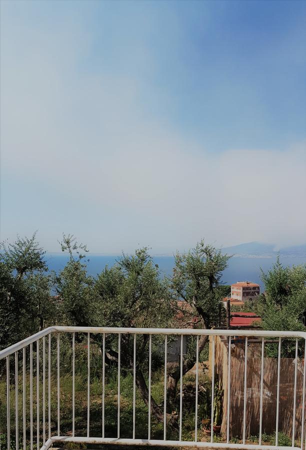 Sorrento Garden Hotell Eksteriør bilde